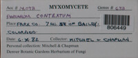 Image Associated With the Occurence